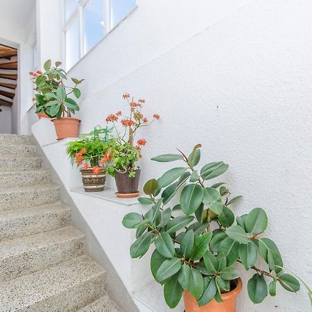 Apartments Zora Starigrad-Paklenica Kültér fotó